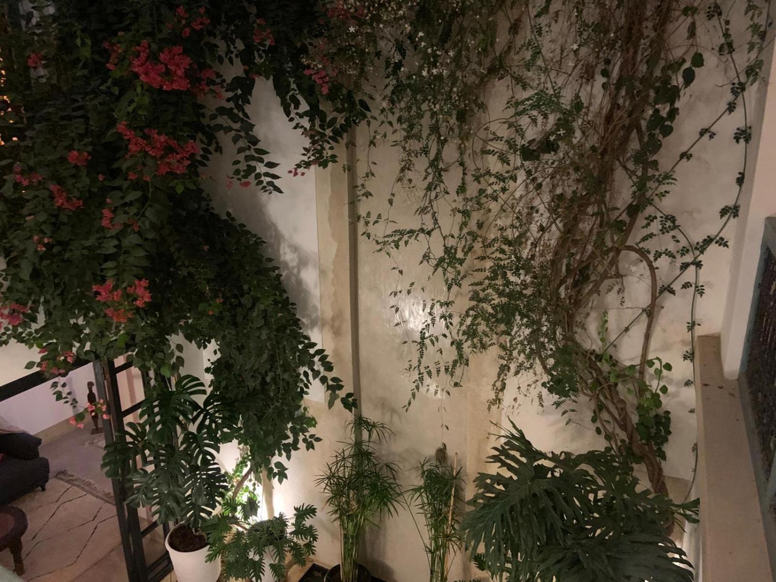 Le Petit Pacha Hotel Marrakesh Bagian luar foto